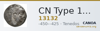 CN Type 13132 — CANOA