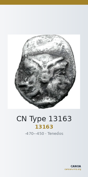 CN Type 13163 — CANOA