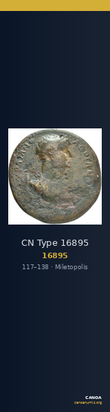 CN Type 16895 — CANOA
