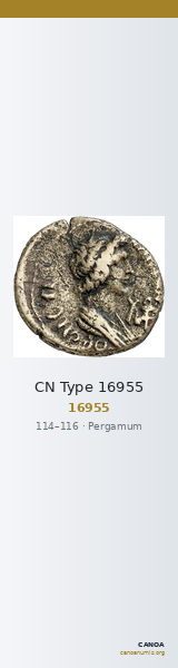 CN Type 16955 — CANOA