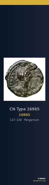 CN Type 16965 — CANOA