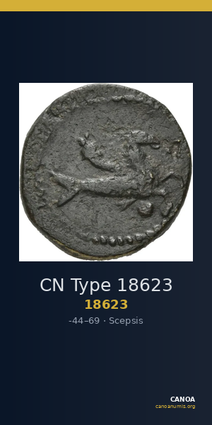 CN Type 18623 — CANOA