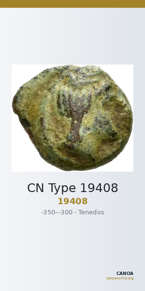 CN Type 19408 — CANOA