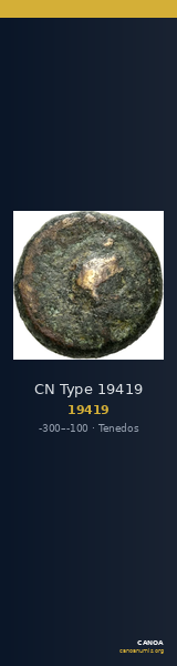 CN Type 19419 — CANOA