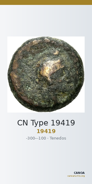 CN Type 19419 — CANOA