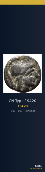 CN Type 19420 — CANOA