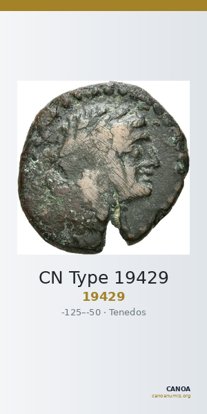 CN Type 19429 — CANOA