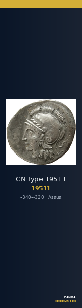 CN Type 19511 — CANOA