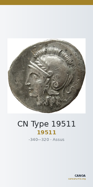 CN Type 19511 — CANOA