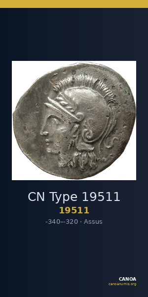 CN Type 19511 — CANOA