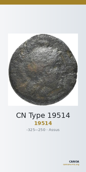 CN Type 19514 — CANOA
