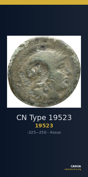 CN Type 19523 — CANOA