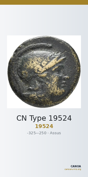 CN Type 19524 — CANOA