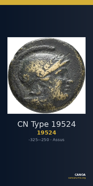 CN Type 19524 — CANOA