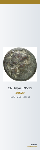 CN Type 19529 — CANOA