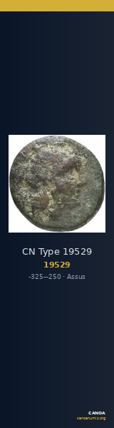 CN Type 19529 — CANOA