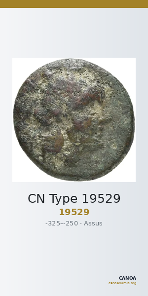 CN Type 19529 — CANOA