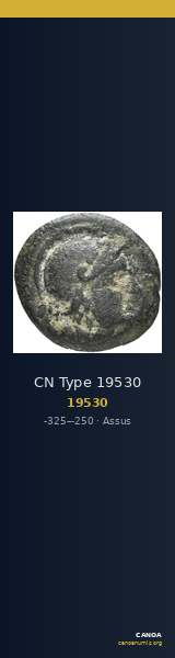 CN Type 19530 — CANOA