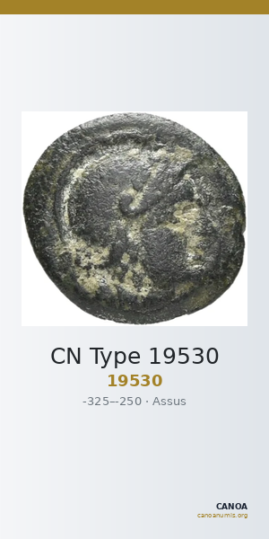 CN Type 19530 — CANOA