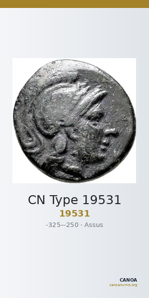 CN Type 19531 — CANOA