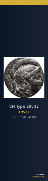 CN Type 19532 — CANOA