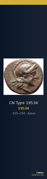 CN Type 19534 — CANOA