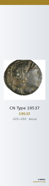 CN Type 19537 — CANOA
