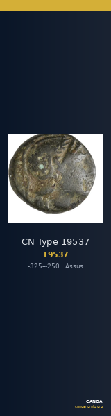 CN Type 19537 — CANOA