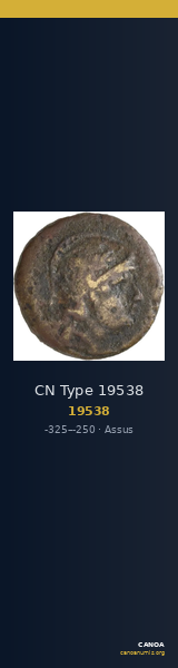 CN Type 19538 — CANOA
