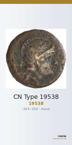 CN Type 19538 — CANOA