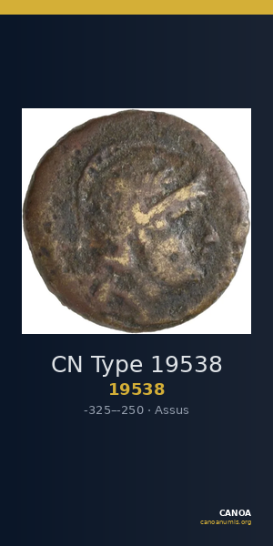 CN Type 19538 — CANOA