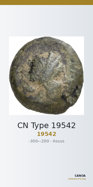 CN Type 19542 — CANOA