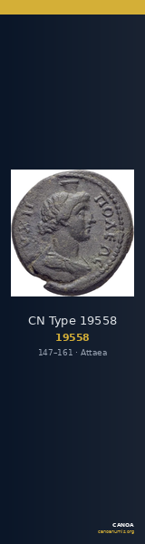 CN Type 19558 — CANOA