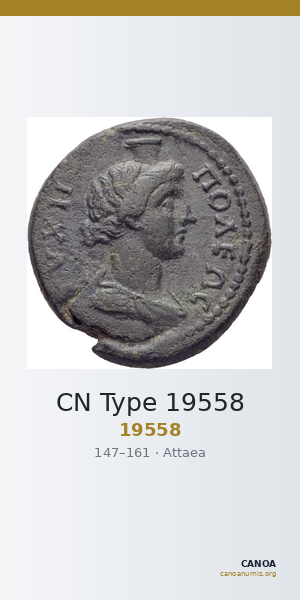 CN Type 19558 — CANOA