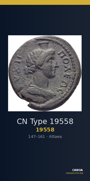 CN Type 19558 — CANOA