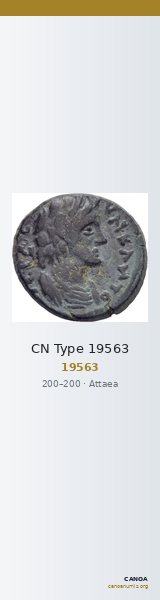 CN Type 19563 — CANOA