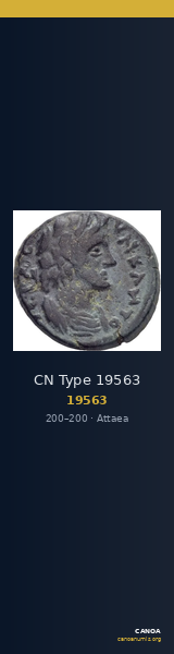 CN Type 19563 — CANOA
