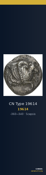 CN Type 19614 — CANOA