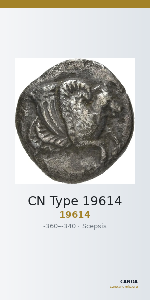 CN Type 19614 — CANOA
