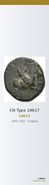 CN Type 19617 — CANOA