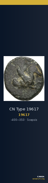 CN Type 19617 — CANOA