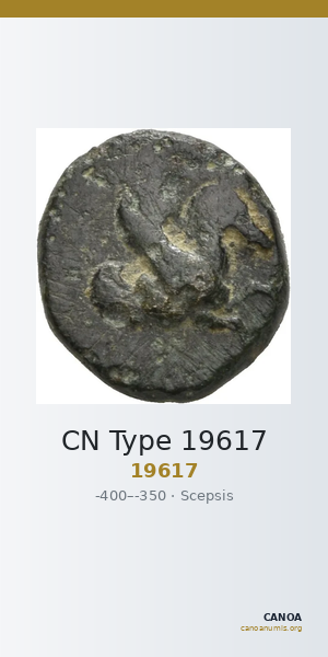 CN Type 19617 — CANOA