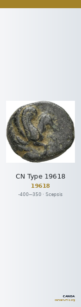 CN Type 19618 — CANOA