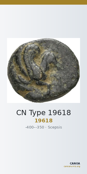 CN Type 19618 — CANOA