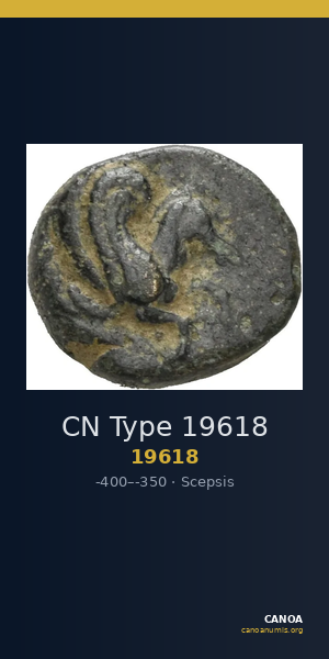 CN Type 19618 — CANOA