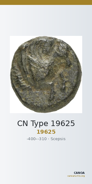 CN Type 19625 — CANOA