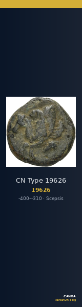 CN Type 19626 — CANOA