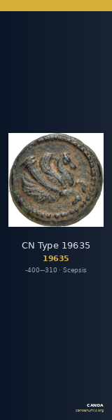 CN Type 19635 — CANOA