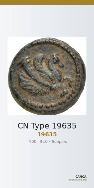 CN Type 19635 — CANOA
