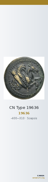CN Type 19636 — CANOA